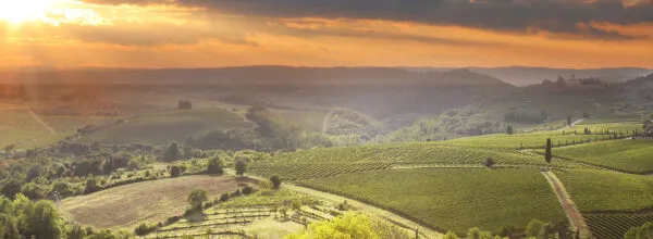 header_agriculture_Fotolia_41776559-600x220.jpg